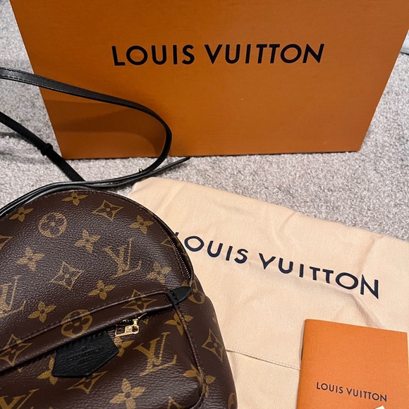 Louis Vuitton Palm Springs mini backpack/crossbody - Picture 5 of 6